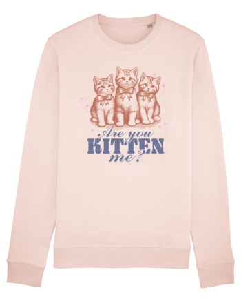 Are You Kitten Me? Candy Pink