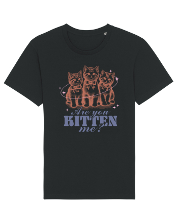 Are You Kitten Me? Black