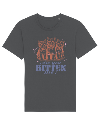 Are You Kitten Me? Anthracite