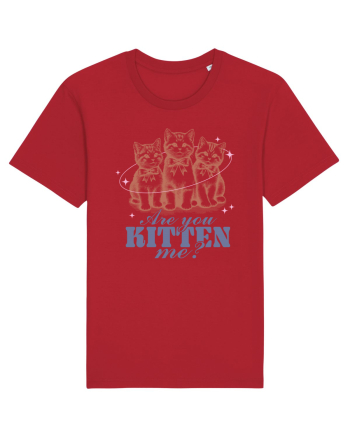 Are You Kitten Me? Red