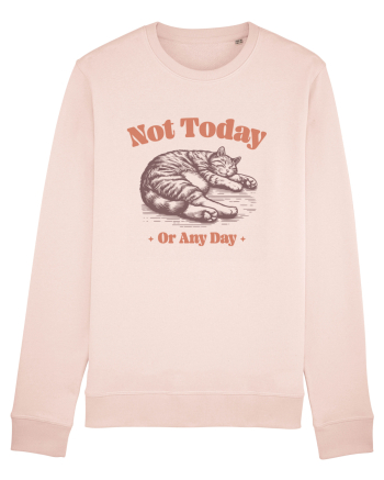 Not Today Or Any Day Candy Pink