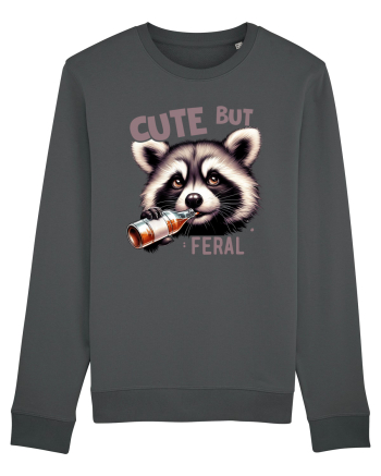 Cute But Feral Anthracite