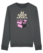Pisica simpatica - ai adus plic? Bluză mânecă lungă Unisex Rise
