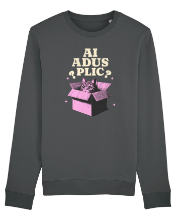 Pisica simpatica - ai adus plic? Anthracite