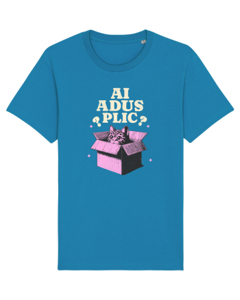 Pisica simpatica - ai adus plic? Azur