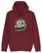 Descopera natura - Romania Brasov, magie si aer curat Hanorac cu fermoar Unisex Connector
