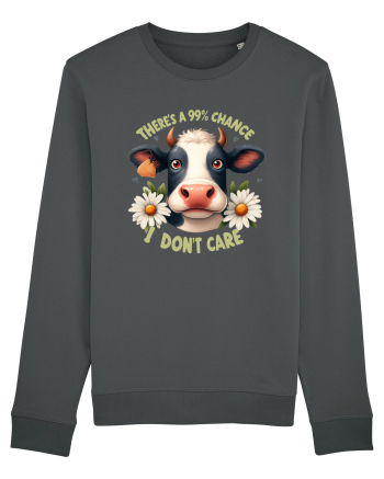 There's A 99% Chance Don't Care Anthracite
