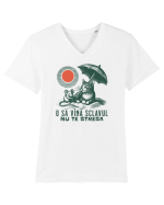Tricou de vara cu pisici Tricou mânecă scurtă guler V Bărbat Presenter