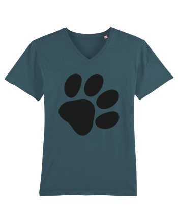 Kitty paw Stargazer