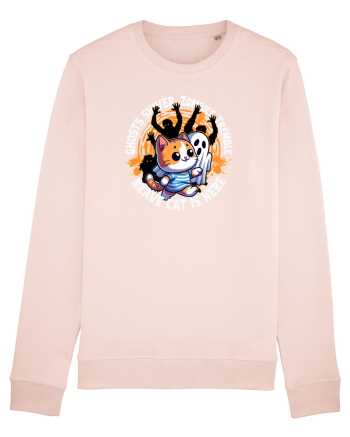 Halloween Pisica Curajoasa si Fantoma Speriata Candy Pink