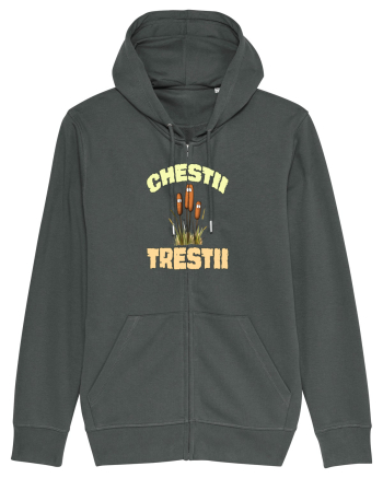 CHESTII TRESTII Anthracite