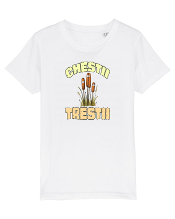 CHESTII TRESTII White