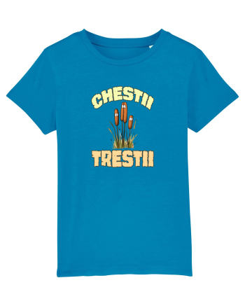 CHESTII TRESTII Azur