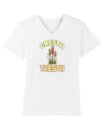 CHESTII TRESTII White
