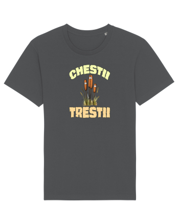 CHESTII TRESTII Anthracite