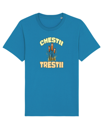 CHESTII TRESTII Azur