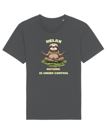 RELAX, NOTHING IS UNDER CONTROL Anthracite