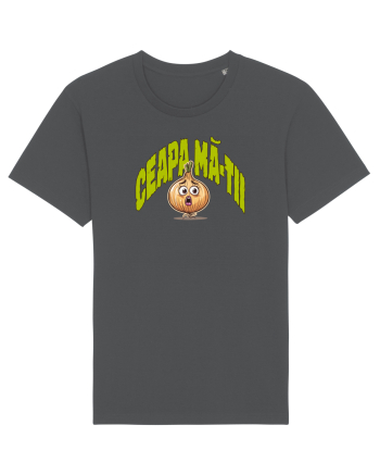 ` CEAPA MA-TII 2 Anthracite