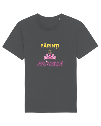 Printesa parintilor Anthracite