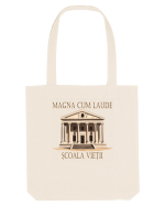 ȘCOALA VIEȚII - ABSOLVITĂ MAGNA CUM LAUDE :D Sacoșă textilă