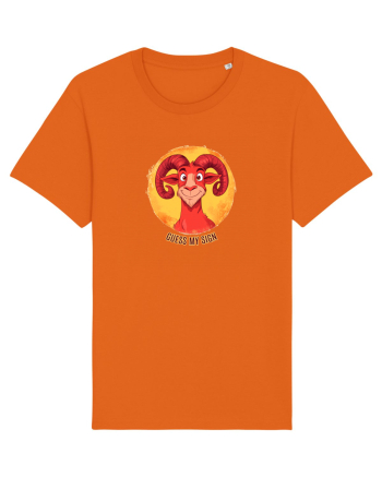 GUESS MY SIGN - BERBEC / ARIES Bright Orange
