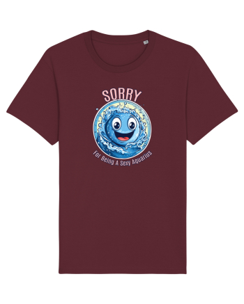 SORRY FOR BEING A SEXY AQUARIUS Burgundy