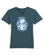 SORRY FOR BEING A SEXY PISCES Tricou mânecă scurtă guler V Bărbat Presenter