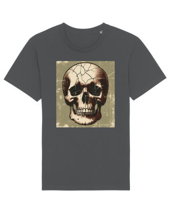 Skull/Craniu in diferite stiluri 14 Anthracite