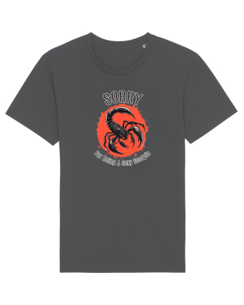 SORRY FOR BEING A SEXY  SCORPIO (SCORPION) Anthracite