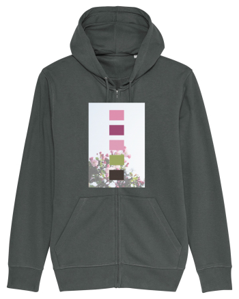 Blooming Spring Anthracite