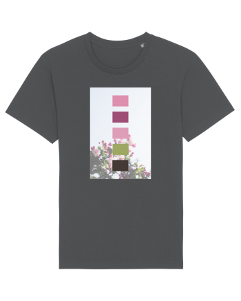 Blooming Spring Anthracite
