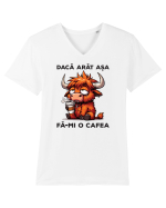 Dacă arăt așa, fă-mi o cafea Tricou mânecă scurtă guler V Bărbat Presenter