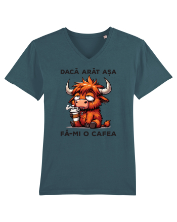 Dacă arăt așa, fă-mi o cafea Stargazer