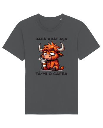 Dacă arăt așa, fă-mi o cafea Anthracite
