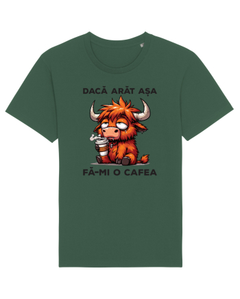 Dacă arăt așa, fă-mi o cafea Bottle Green