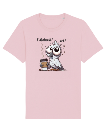 E dimineață? Iară? Cotton Pink