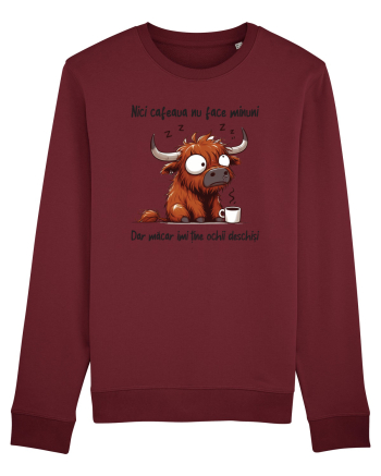 Nici cafeaua nu face minuni Burgundy