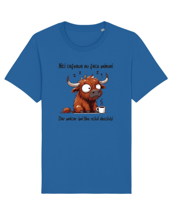Nici cafeaua nu face minuni Royal Blue