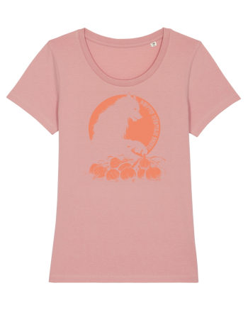 NOAPTEA SFANTULUI ANDREI 2 Canyon Pink