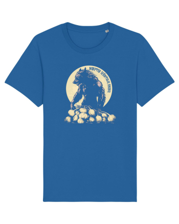 NOAPTEA SFANTULUI ANDREI 5 Royal Blue