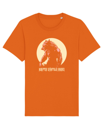 NOAPTEA SFANTULUI ANDREI 6 Bright Orange