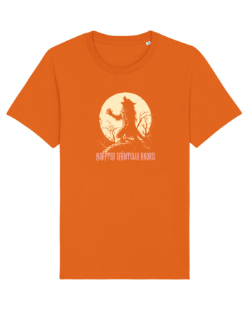 NOAPTEA SFANTULUI ANDREI 7 Bright Orange