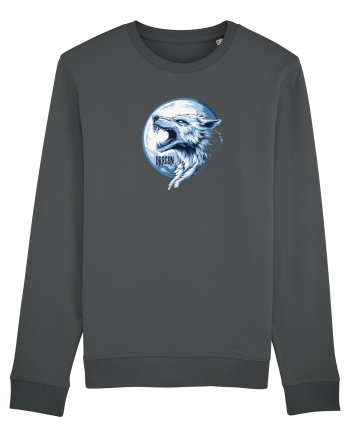 DRACO / DRACON - STEAGUL DACIC 7b Anthracite