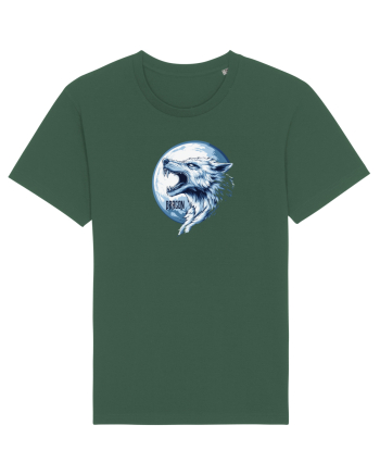 DRACO / DRACON - STEAGUL DACIC 7b Bottle Green