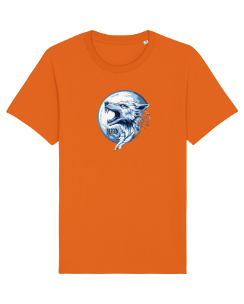 DRACO / DRACON - STEAGUL DACIC 7b Bright Orange