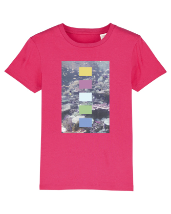 Coral Reef Raspberry