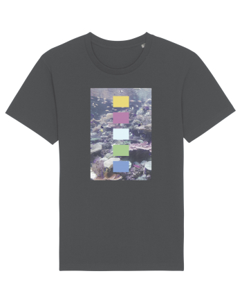 Coral Reef Anthracite