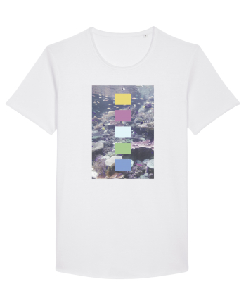 Coral Reef White