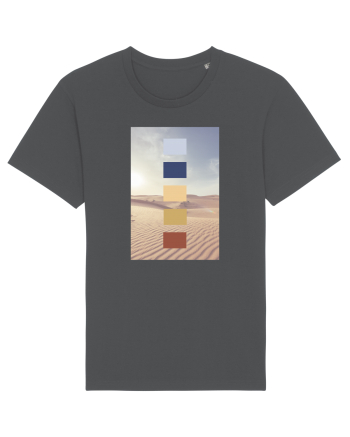 Desert Life Anthracite