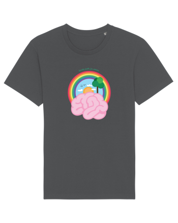 Rainbow  Anthracite